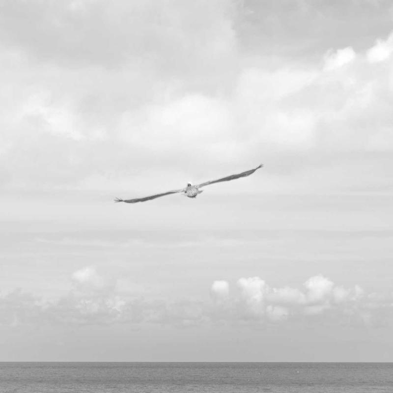 Echoes in the Machine Album Art